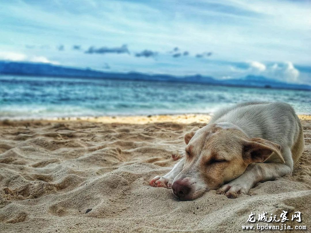 为什么304弹弓会生锈！