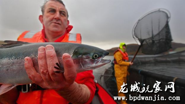 _102969504_gettyimages-108020288.jpg